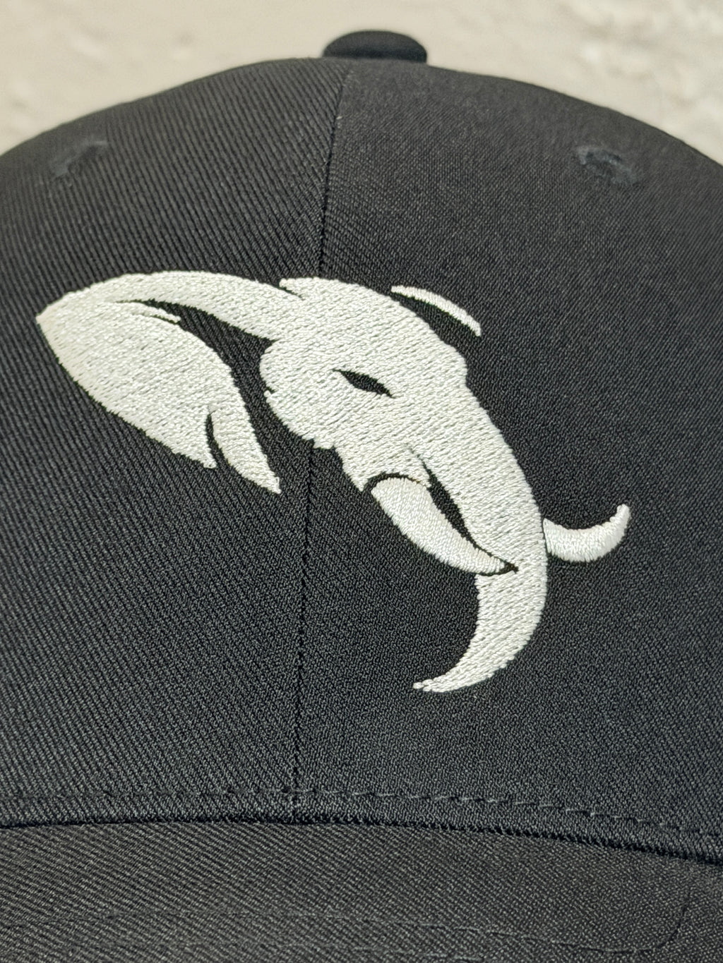 Founders Edition — 6110NU Snapback