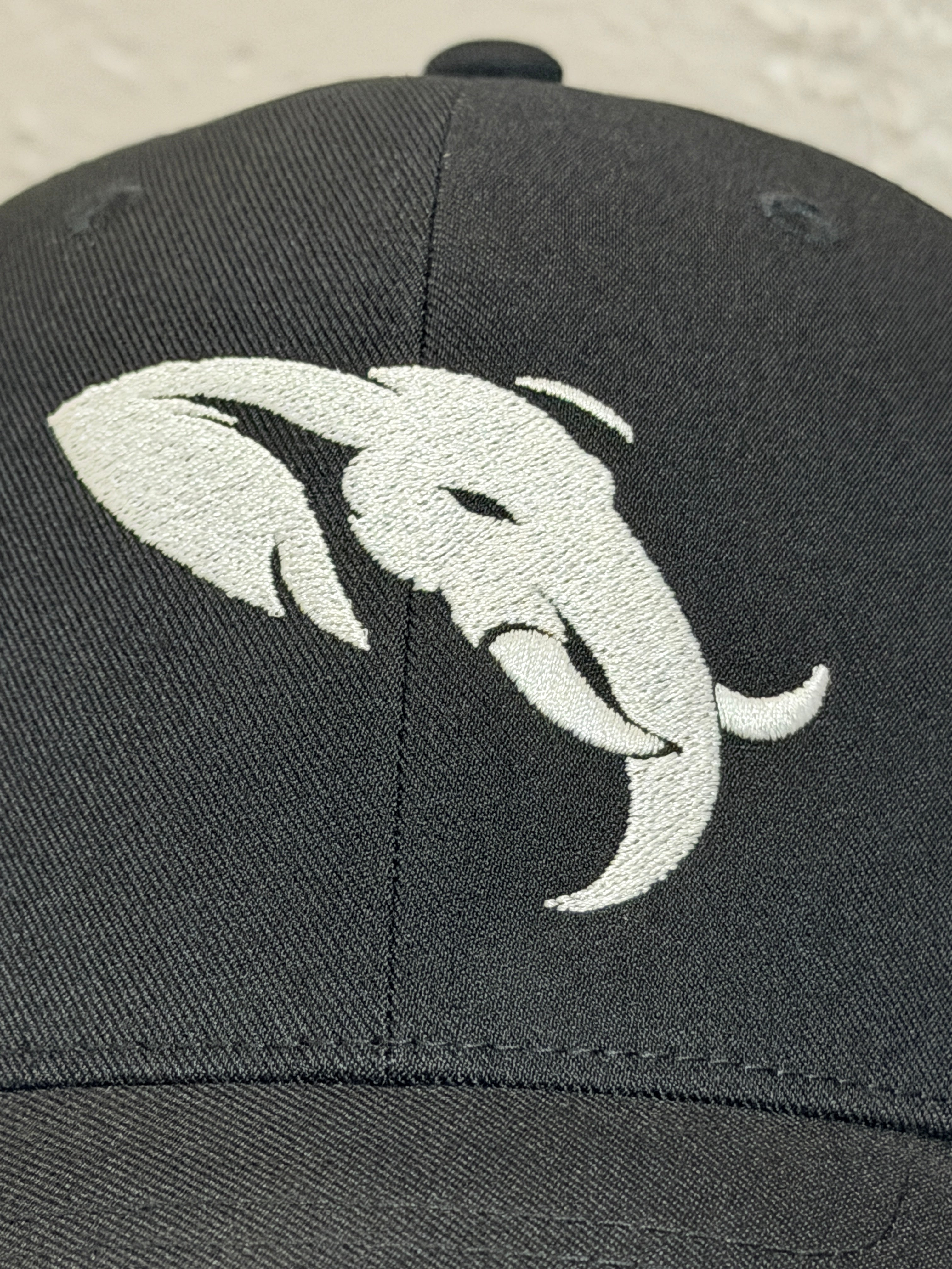 Founders Edition — 6110NU Snapback