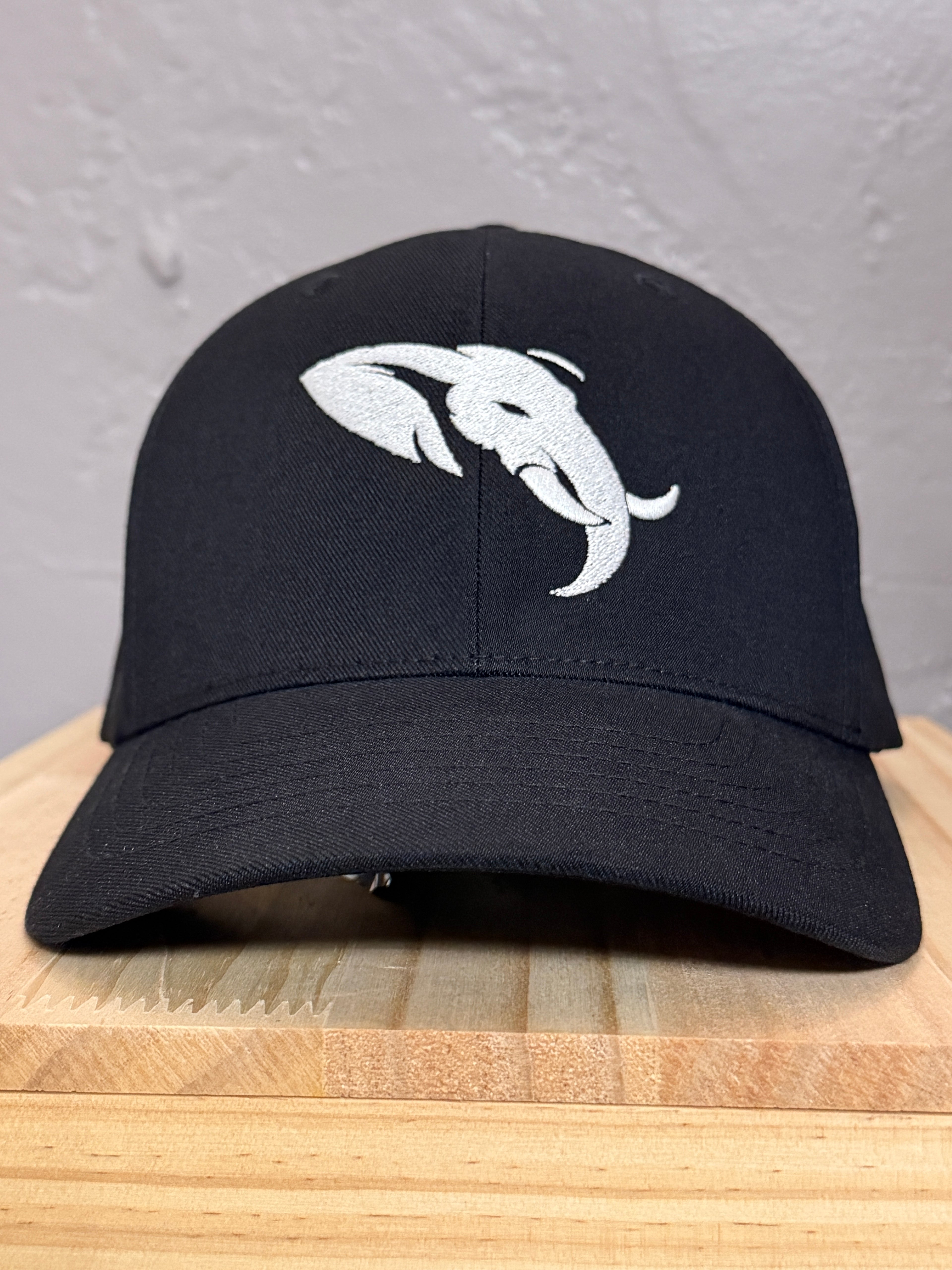 Founders Edition — 6110NU Snapback