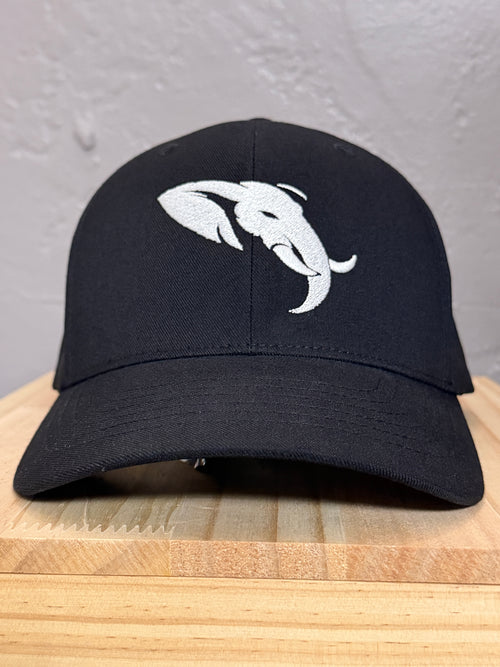 Founders Edition — 6110NU Snapback