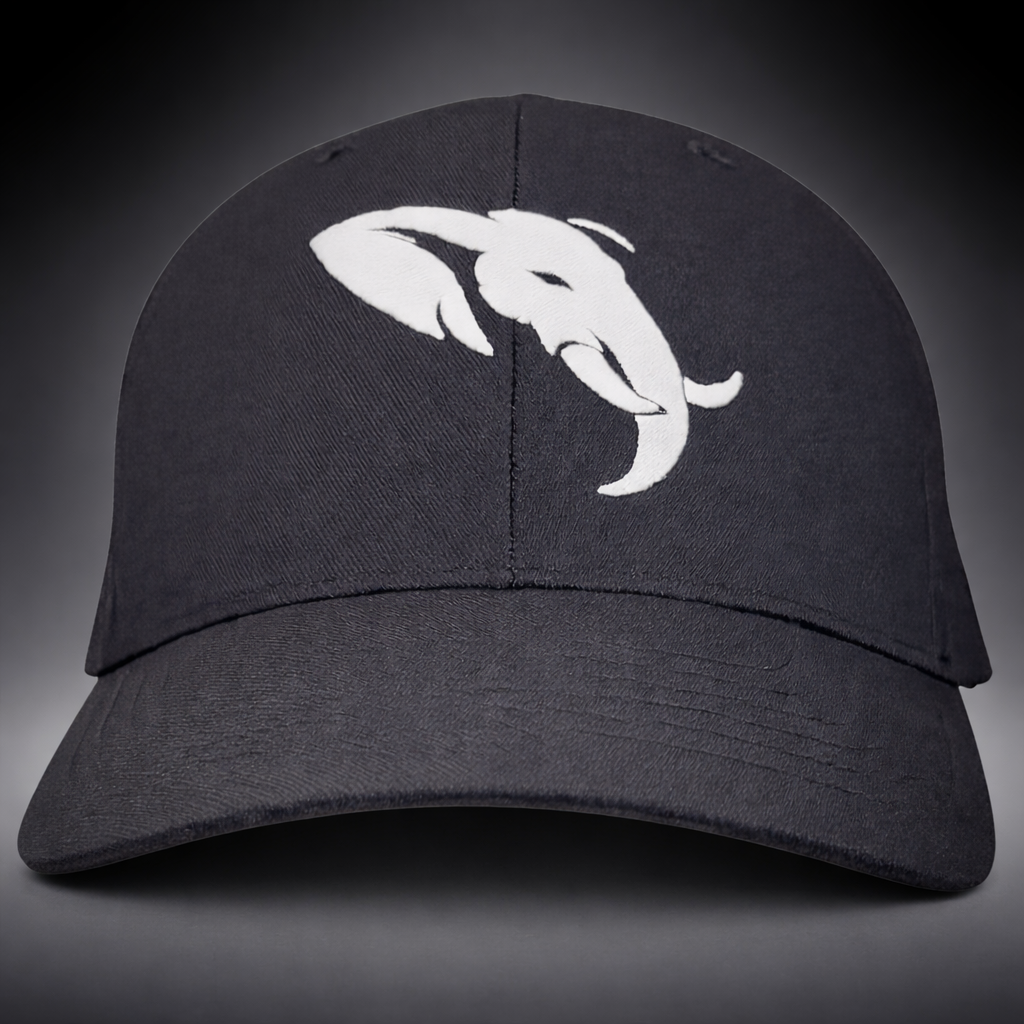 Founders Edition — 6110NU Snapback